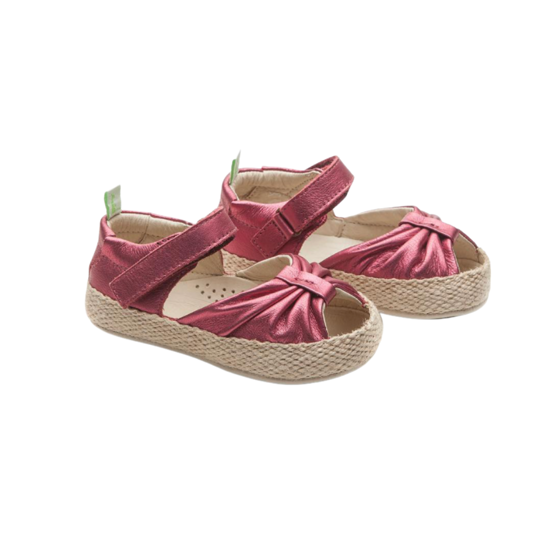 COASTY FUCSHIA SHINE